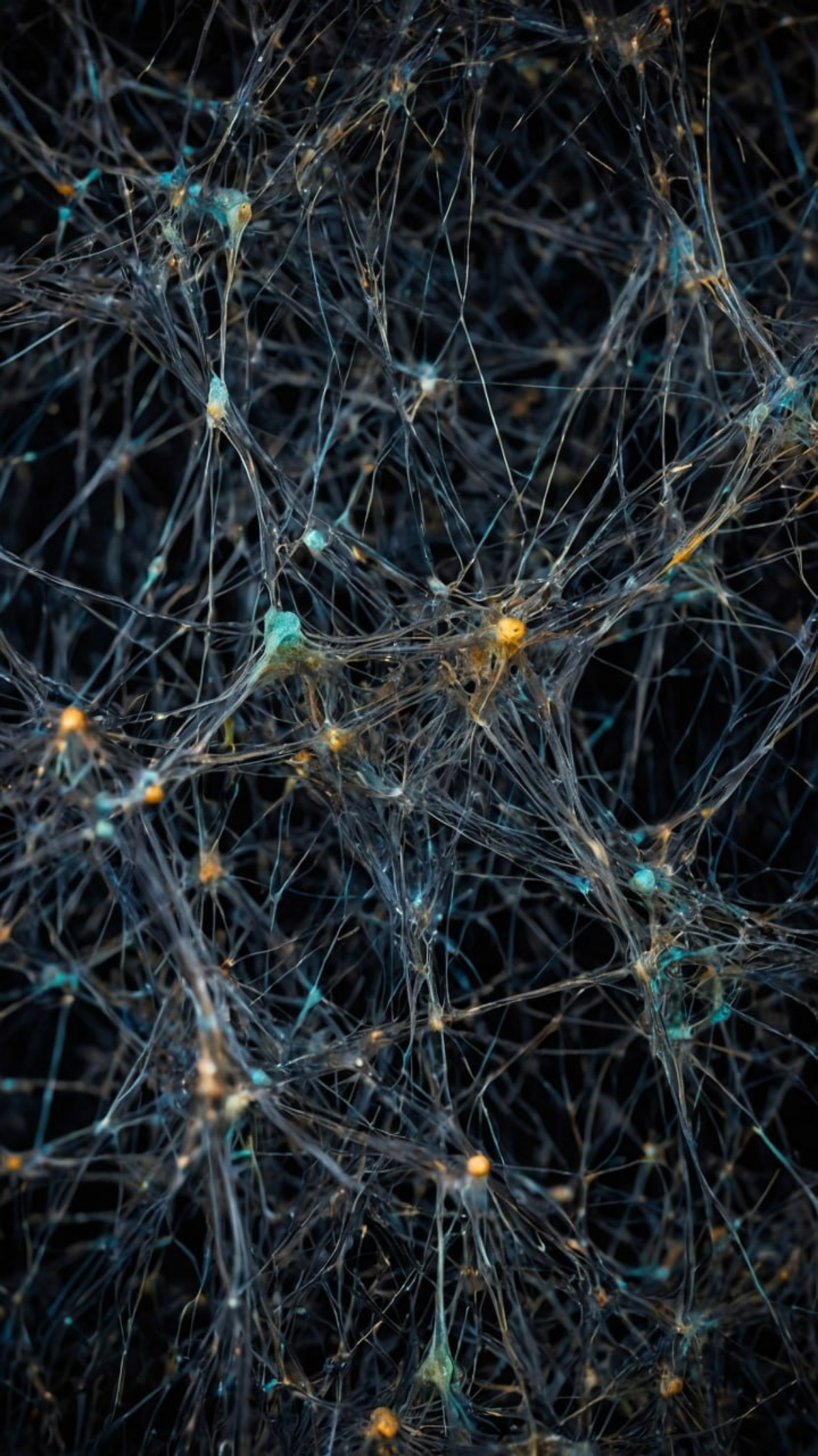 Нейросети используются для перевода жестового языка в текст или речь, что значительно облегчает общение для людей с нарушениями слуха | Сетка — социальная сеть от hh.ru