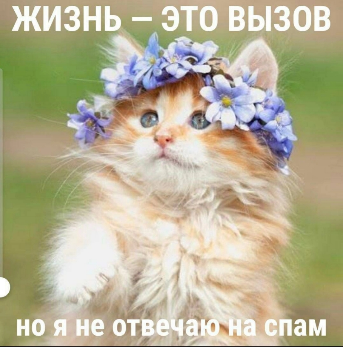 Недавно на работе слышал: нужно заменить "беды" на "вызовы". То есть, если я правильно понял, у некоторых людей "вызовы с башкой"?)) звучит современно!) | Сетка — социальная сеть от hh.ru
