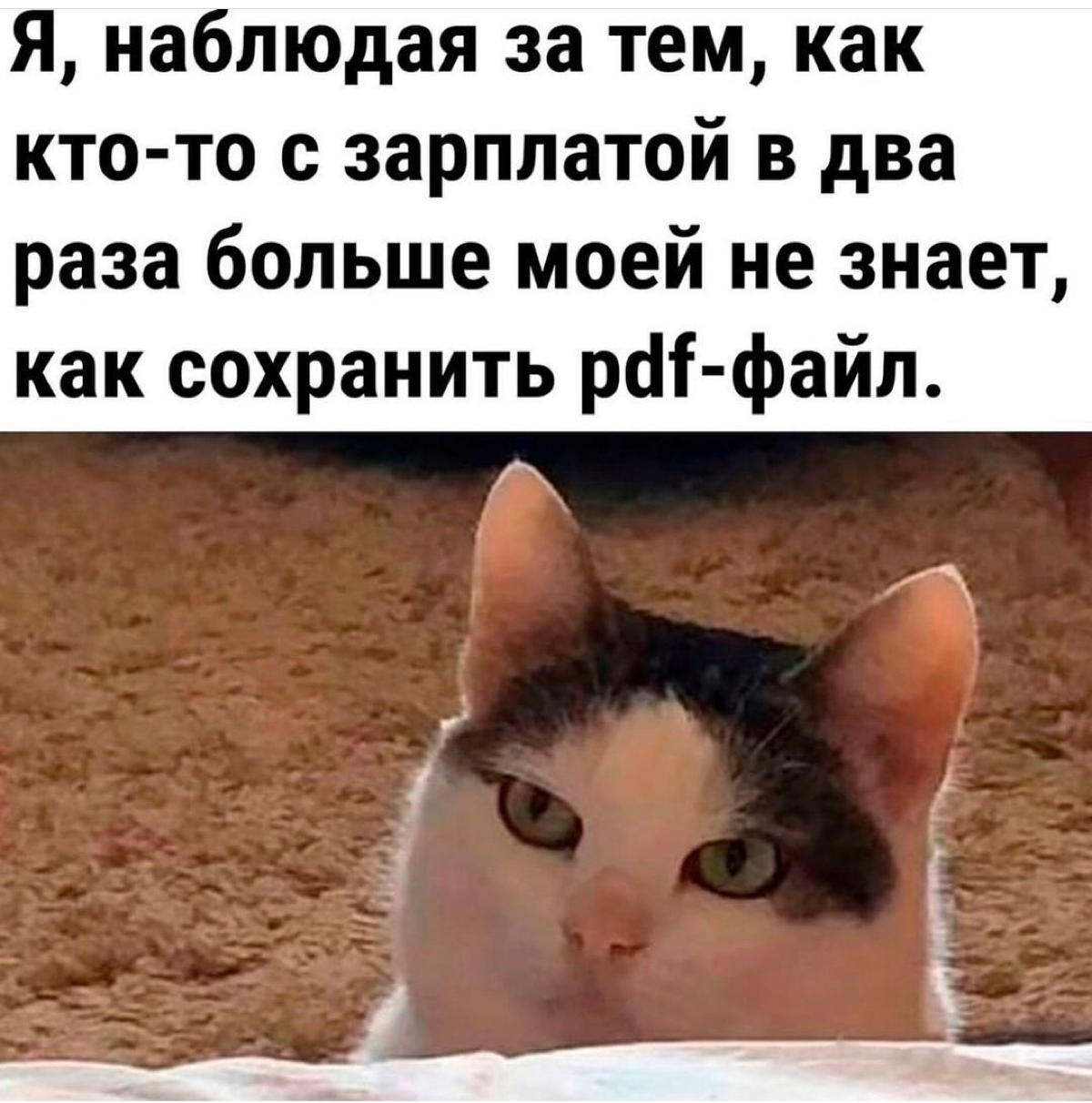 Должен ли топ-менеджмент уметь сохранять файлы из почты на компьютер? Вот в чем вопрос! | Сетка — социальная сеть от hh.ru