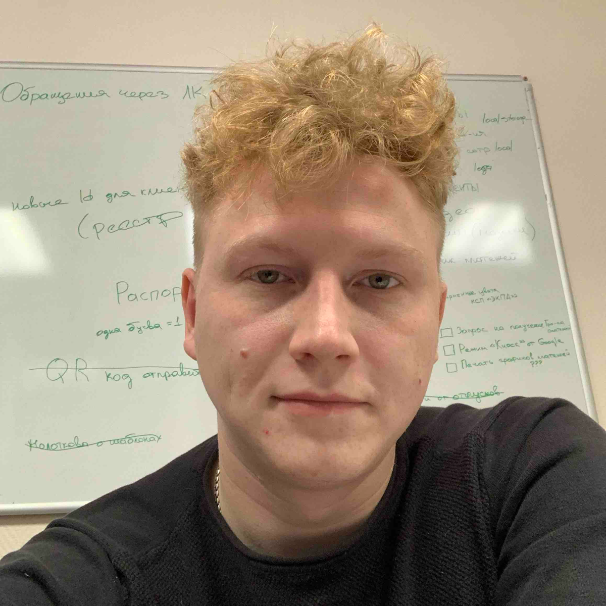 Дмитрий Павличенко