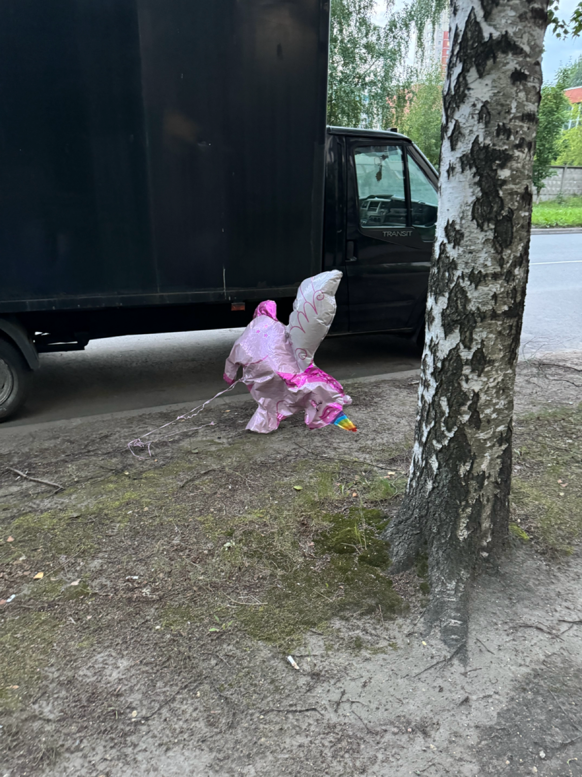 Когда пытаешься сделать из стартапа единорога 🦄 | Сетка — социальная сеть от hh.ru