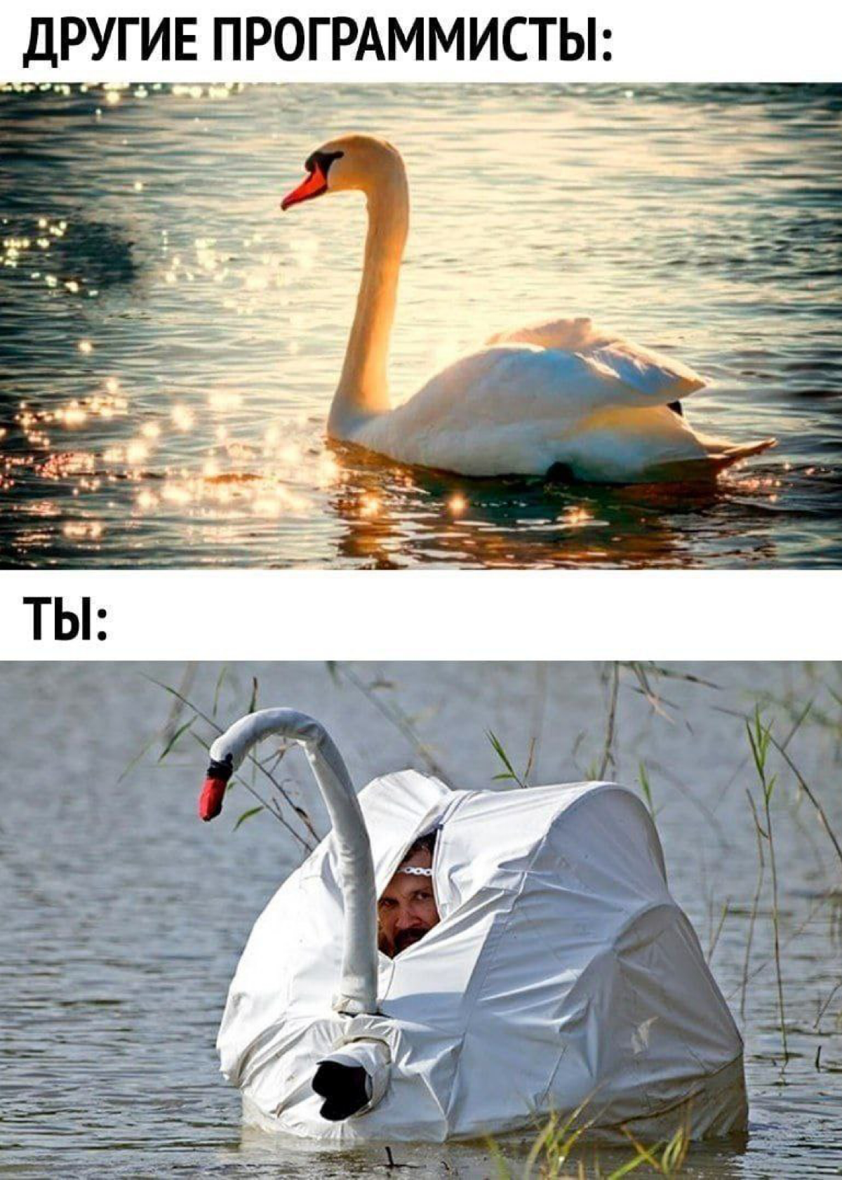 Сетка — социальная сеть от hh.ru