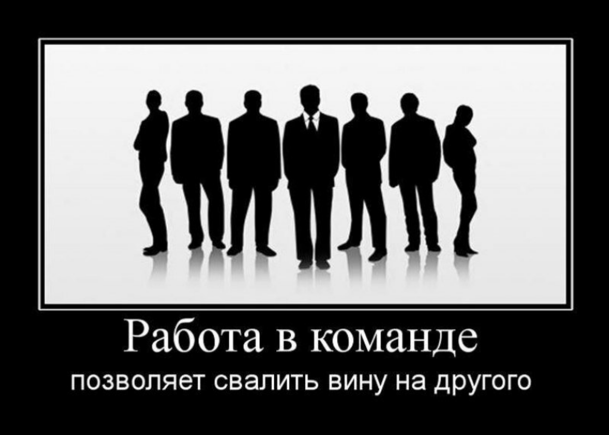 Шутку в ленту | Сетка — социальная сеть от hh.ru