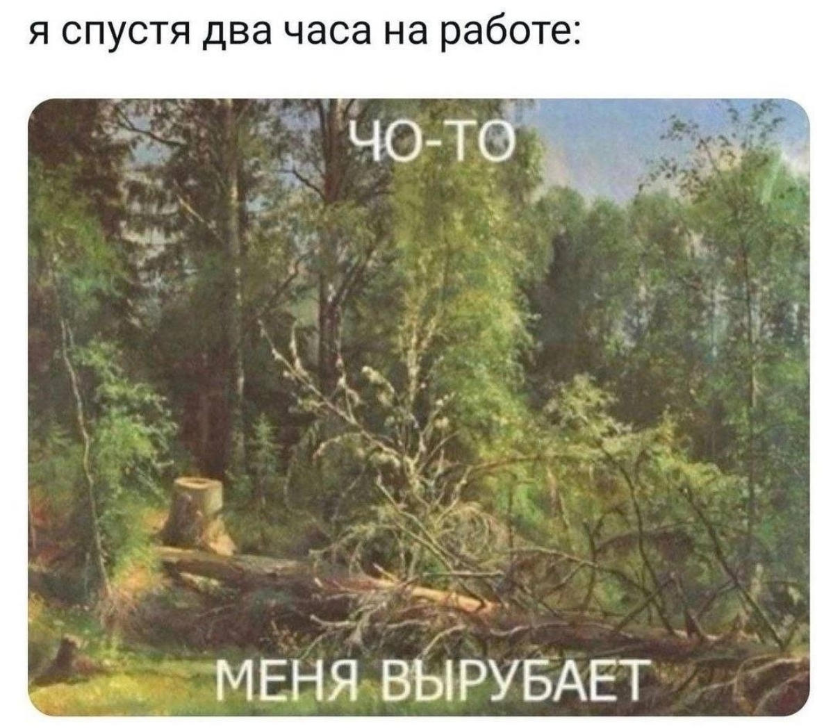 Мем #29 | Сетка — социальная сеть от hh.ru