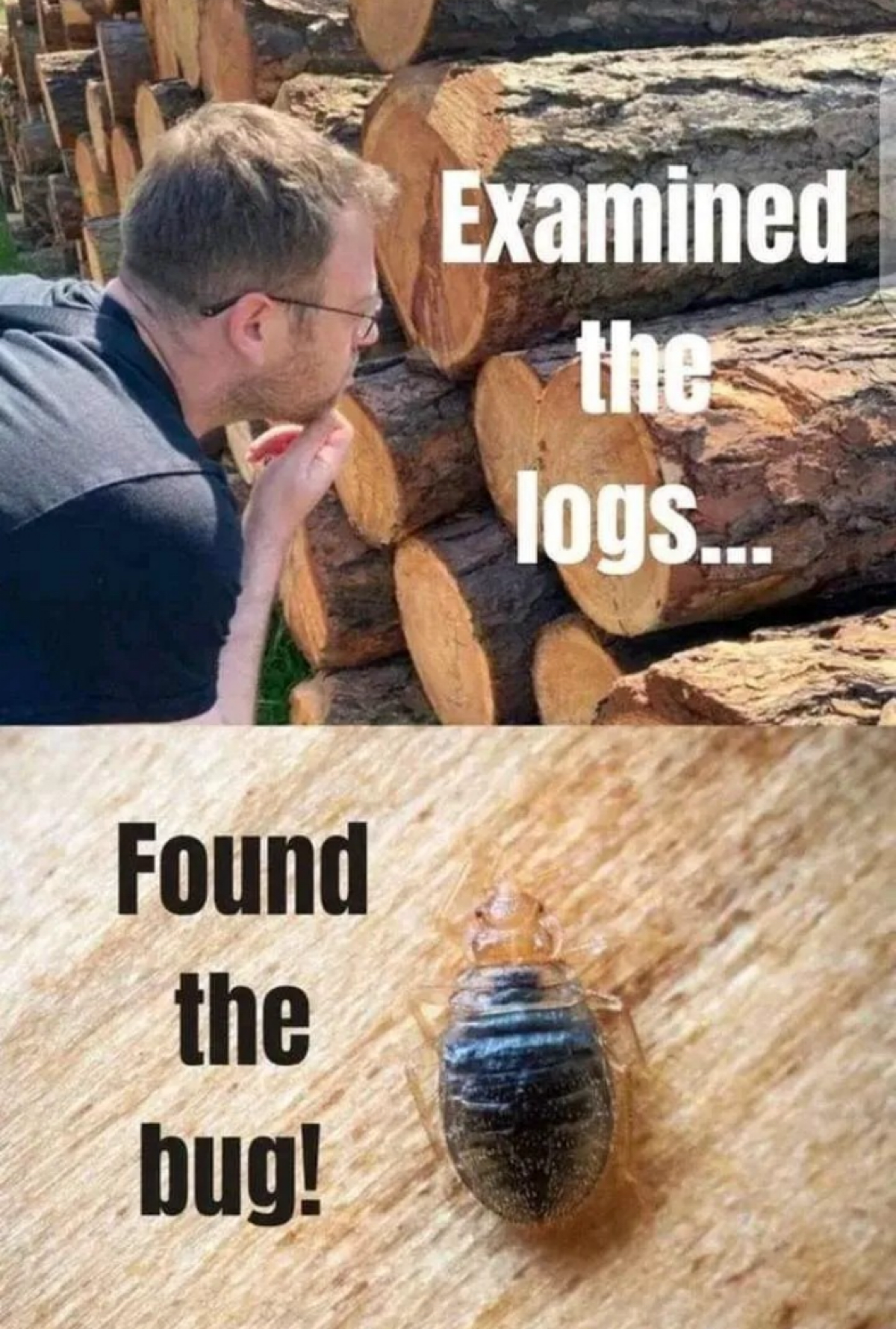 Как объяснять людям чем ты занимаешься в своем IT
#mem #meme #мем #мемы #IT #logs #bug #баг | Сетка — социальная сеть от hh.ru