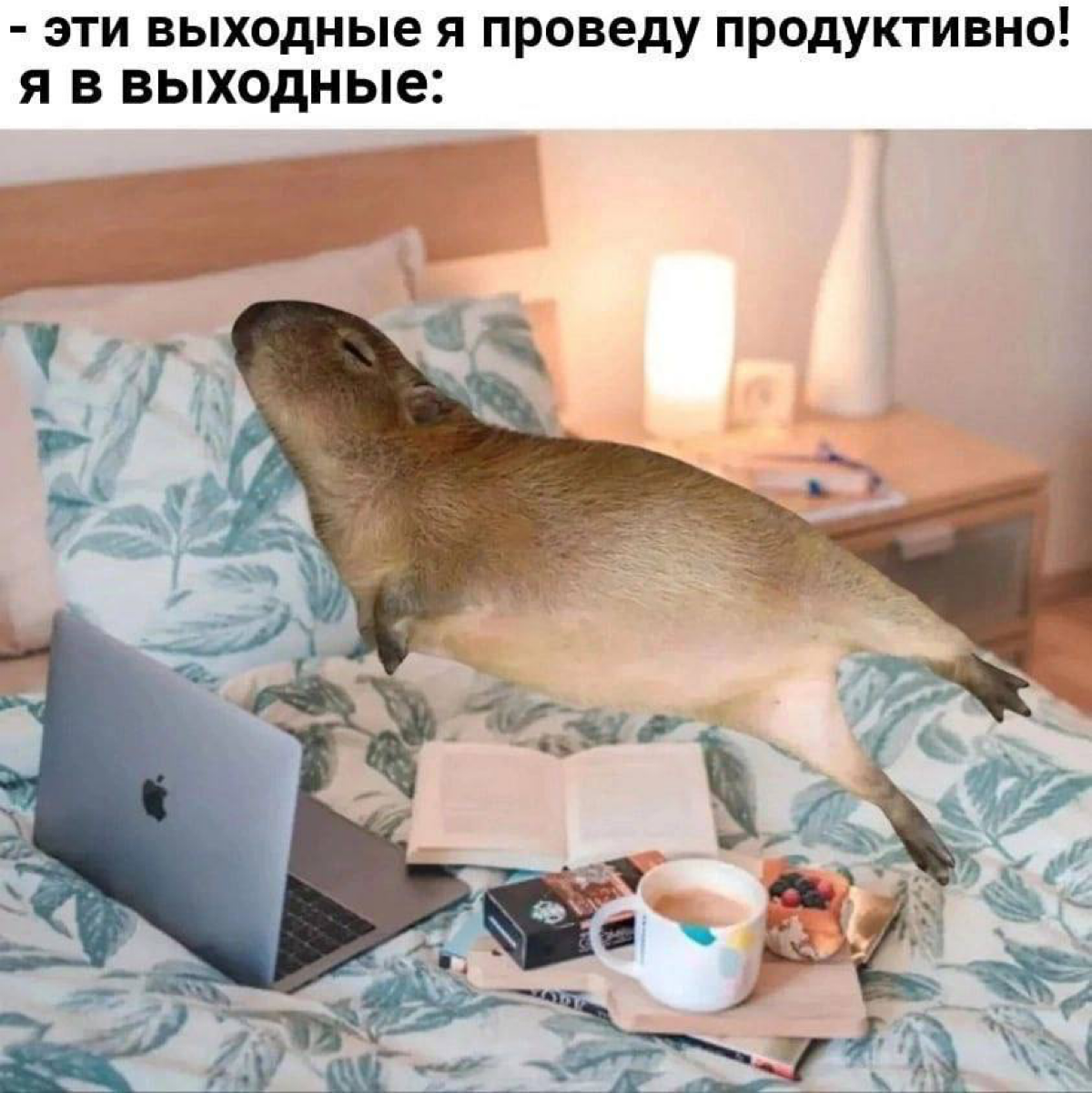 Как разгружаетесь на выходных? | Сетка — социальная сеть от hh.ru