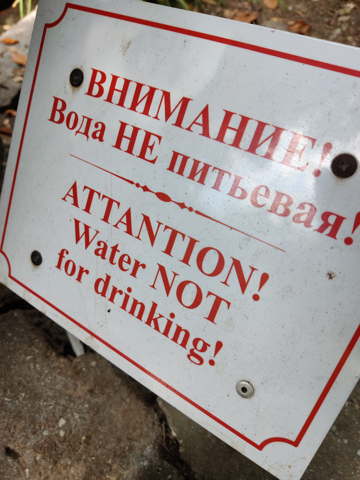 Дневник сумасшедшого | Сетка — социальная сеть от hh.ru