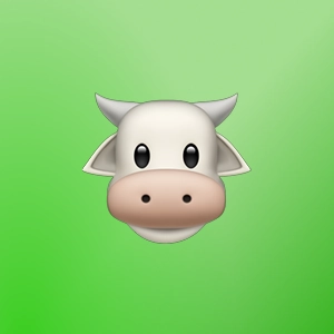 Денис Бронников | Сетка — социальная сеть от hh.ru