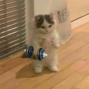 Полина Изучает | Сетка — социальная сеть от hh.ru