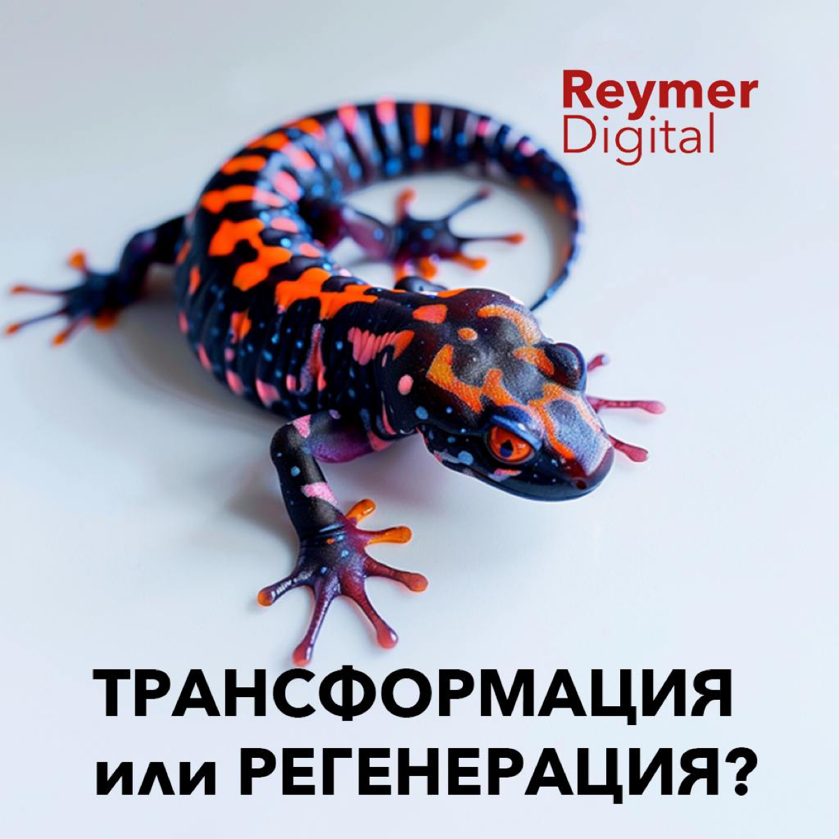 Трансформация бизнеса — это комплексный процесс, направленный на адаптацию компании к изменяющимся условиям внешнего мира | Сетка — социальная сеть от hh.ru