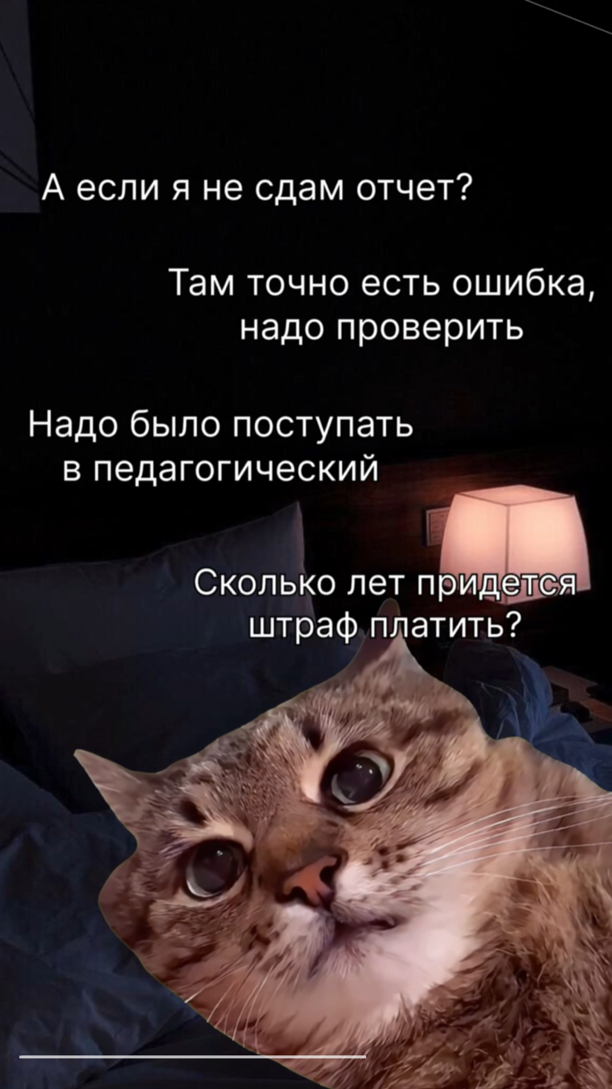 У кого так же???? | Сетка — социальная сеть от hh.ru
