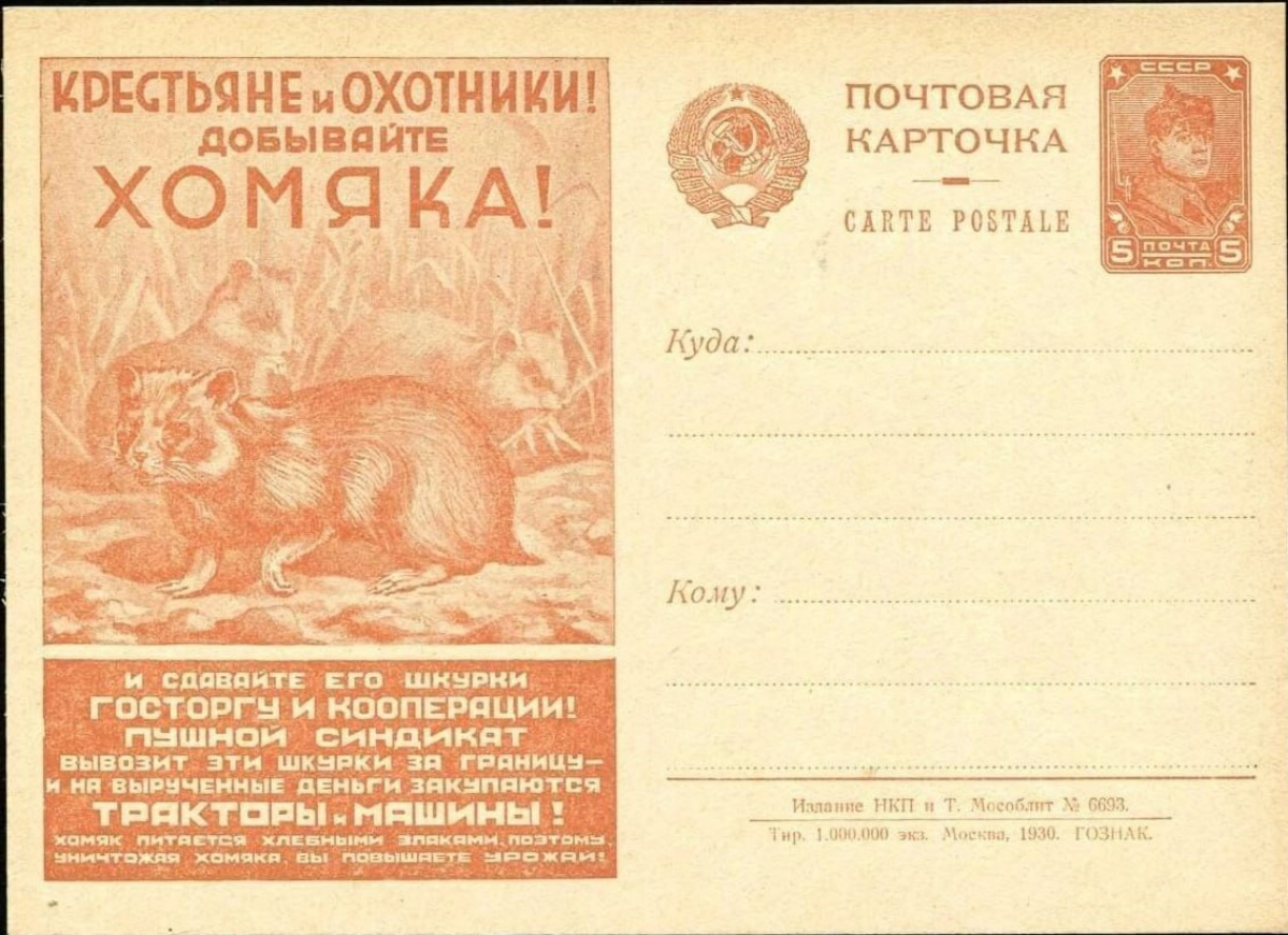 Крипто инвестиции были ещё в СССР
#криптовалюта | Сетка — социальная сеть от hh.ru