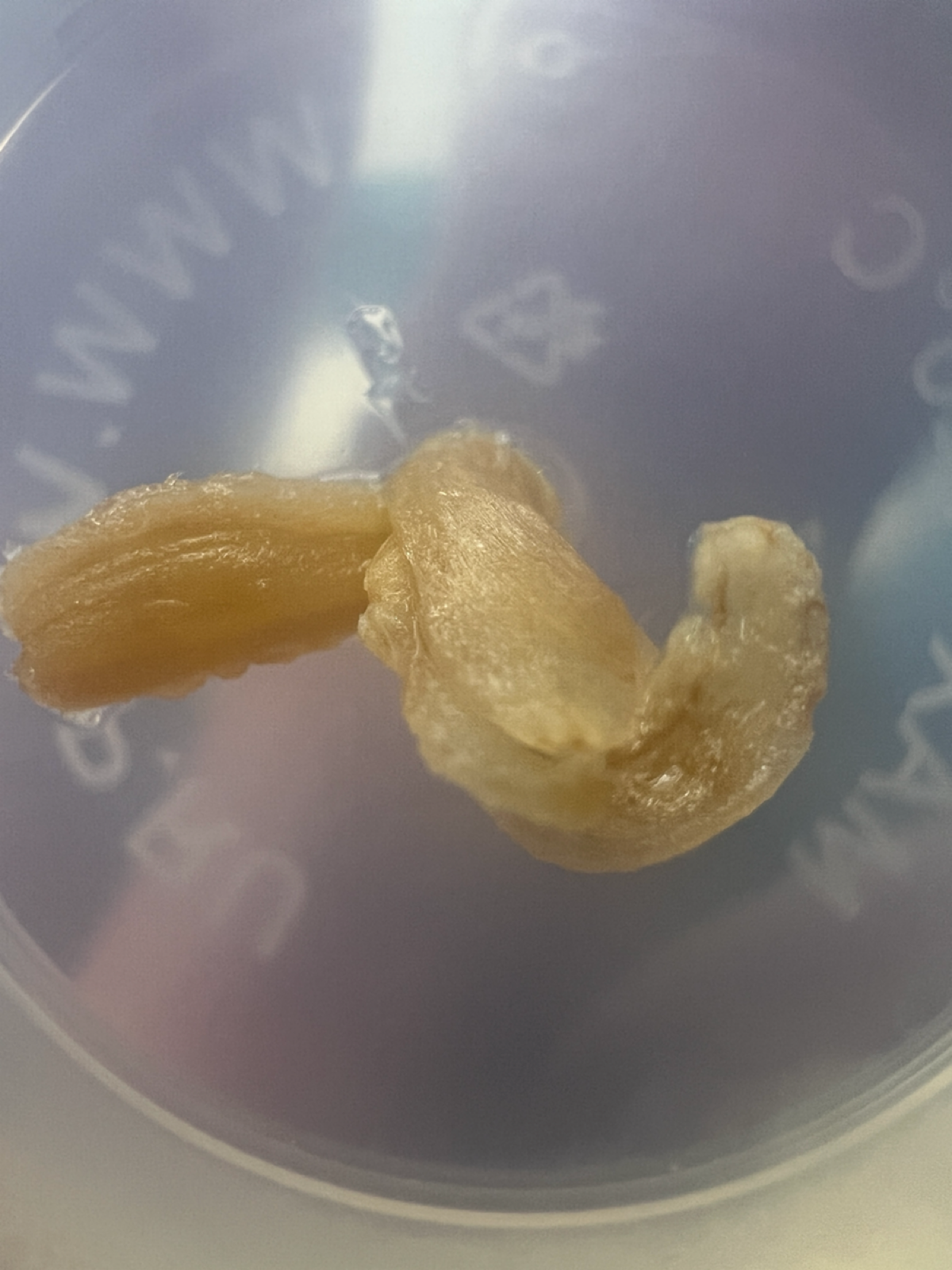 Эксперимент #15. Не васаби | Сетка — социальная сеть от hh.ru