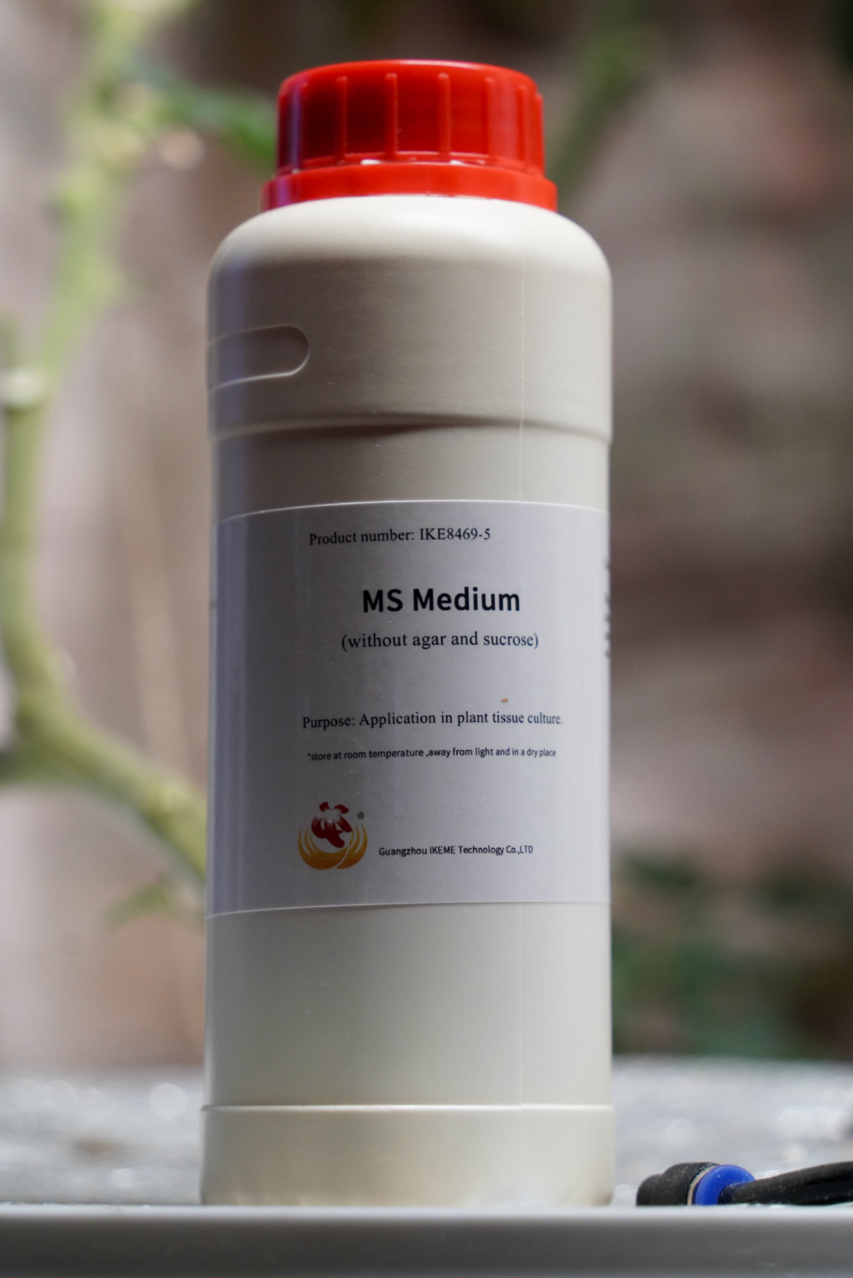 Эксперимент #15. Не васаби | Сетка — социальная сеть от hh.ru