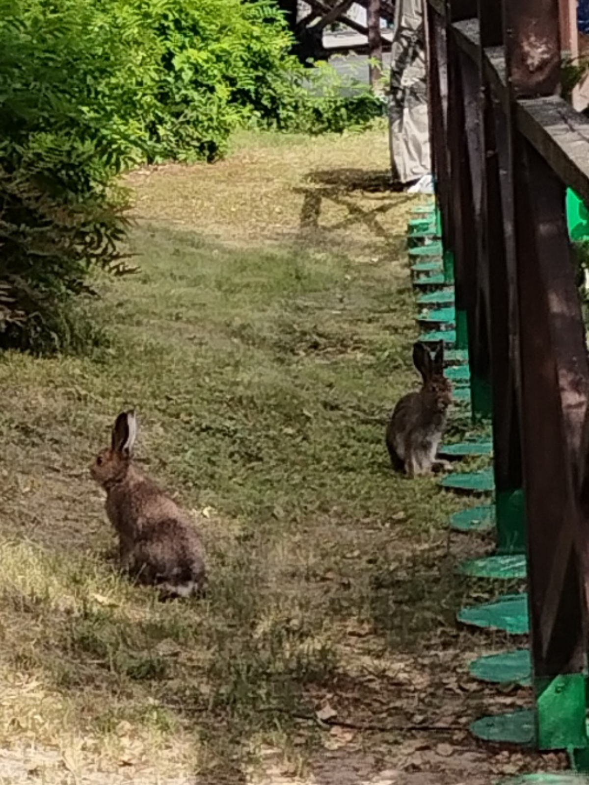 Домики в лесу у реки
Свежий воздух
Шашлык, плов, арбузы и куриная лапша на утро) 
Корпоративы - это 👍
Когда были на корпоративе? Что понравилось?😁 
#длядуши
#управлениеперсоналом 
#управлениекомандами | Сетка — социальная сеть от hh.ru