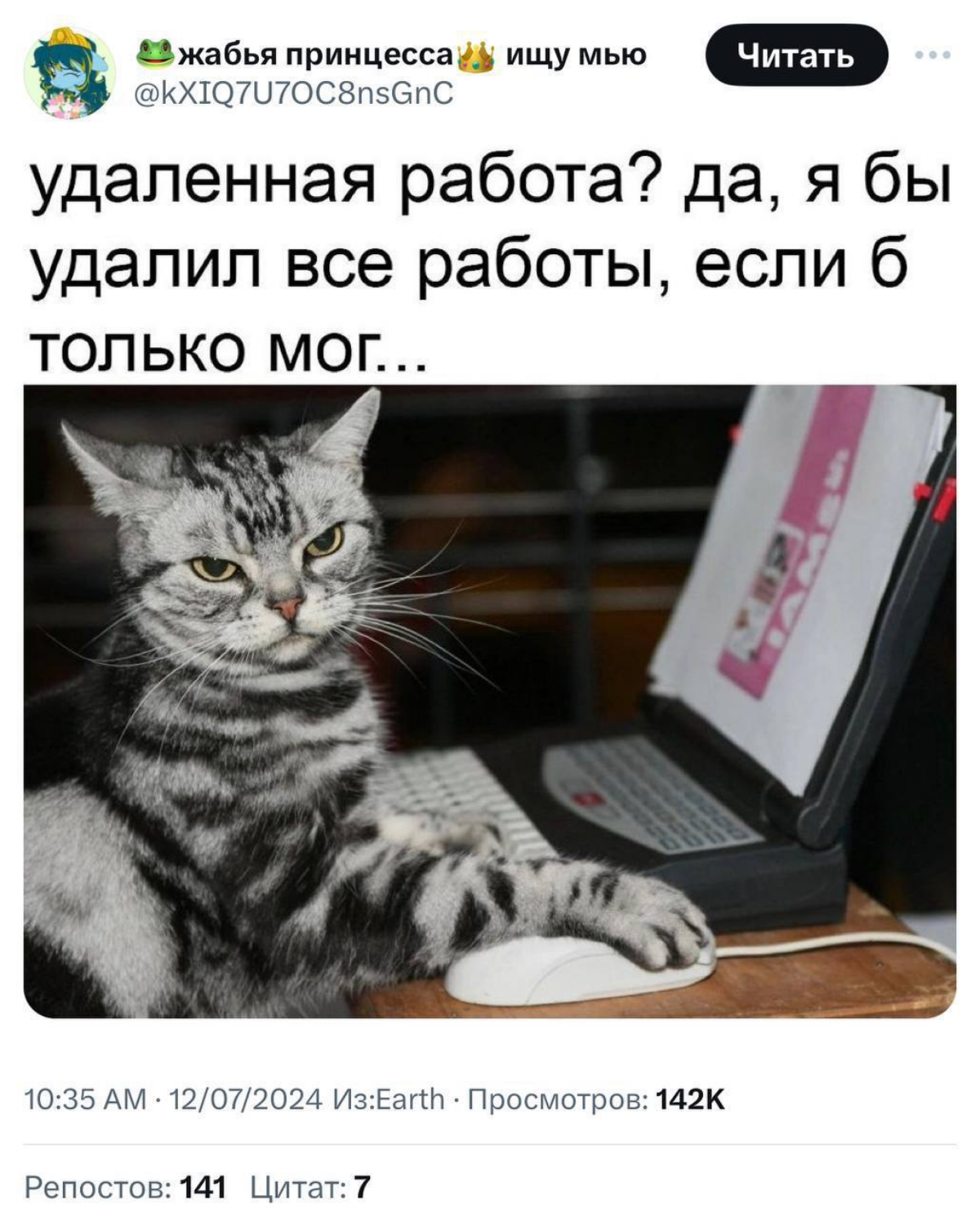 Сетка — социальная сеть от hh.ru