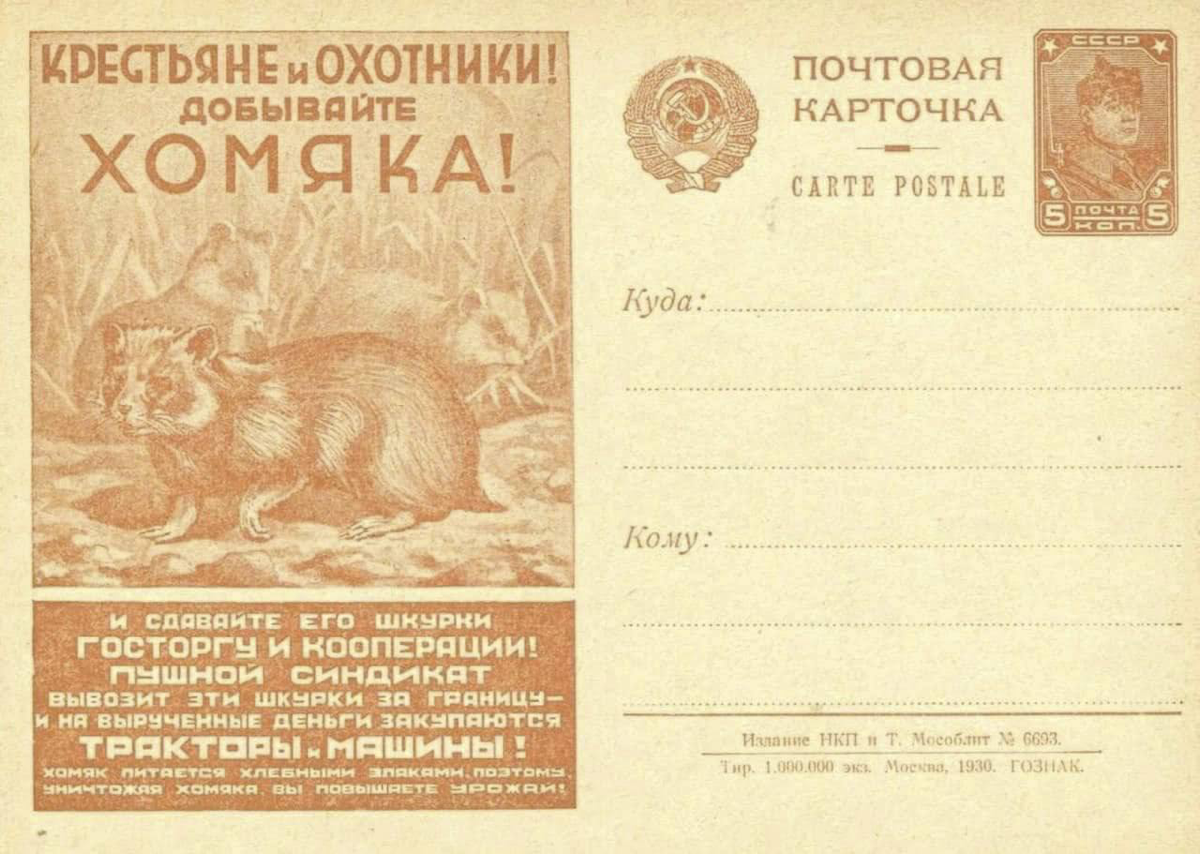 ⚡️Говорят, что хомяков тапали ещё в СССР.
История повторяется дважды: первый раз в виде трагедии, второй — в виде фарса | Сетка — социальная сеть от hh.ru