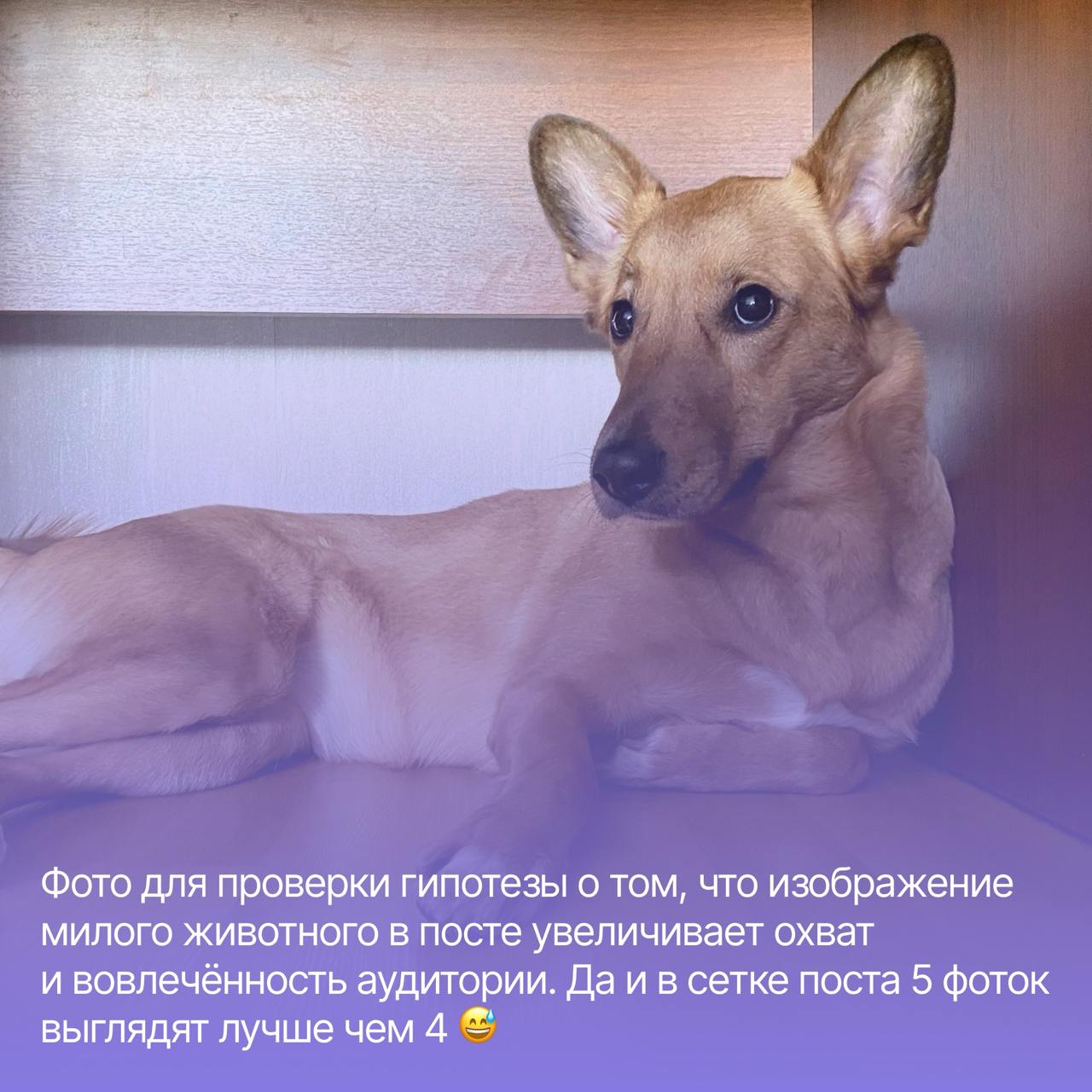 Про обратную связь при найме и двойные стандарты
В одном из предыдущих постов я писал о том, что если ты в позиции жертвы собеседуемого, то стоит посмотреть на этап с другой стороны | Сетка — социальная сеть от hh.ru