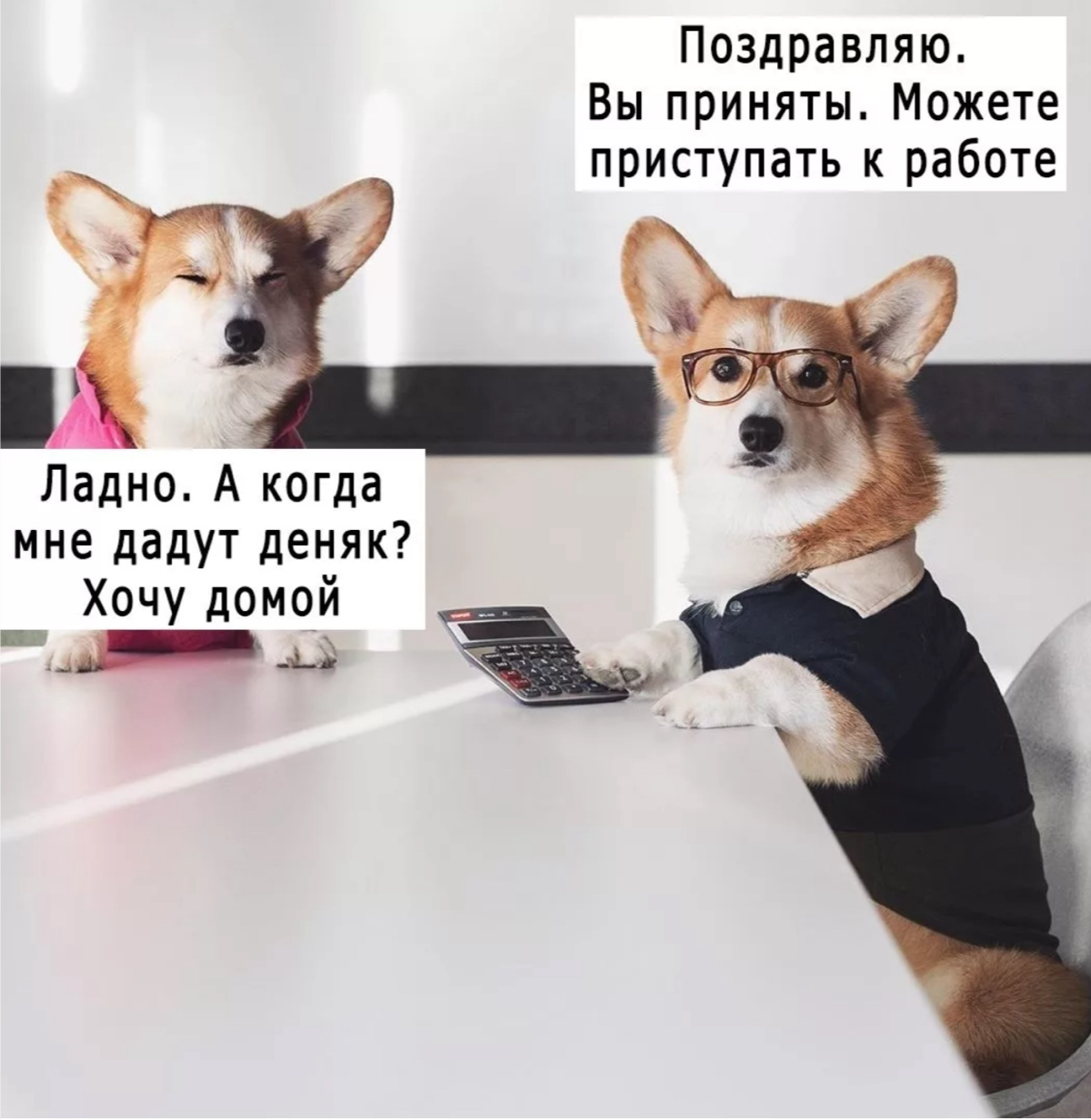 ПОЧЕМУ Я НЕ ПРОХОЖУ СОБЕСЕДОВАНИЯ?
🚀Мотивация есть?
Любая компания ищет человека с «горящими» глазами, готового работать в идеале день и ночь, принося дополнительный доход | Сетка — социальная сеть от hh.ru