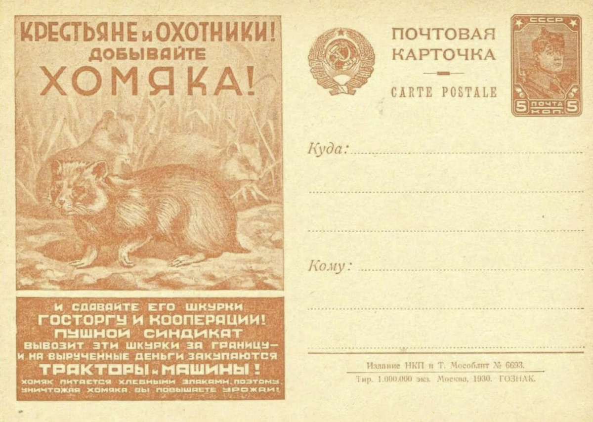 Шок: в СССР тоже тапали добывали хомяков.
Советская открытка внезапно снова стала актуальной. | Сетка — социальная сеть от hh.ru