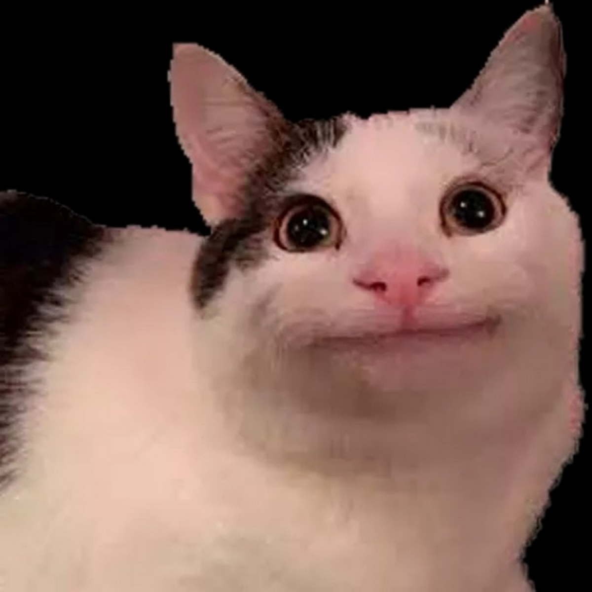 Решила попробовать сотрудничество с ВУЗами (приглашение на работу амбициозных ребят, кто только выпустился) | Сетка — социальная сеть от hh.ru