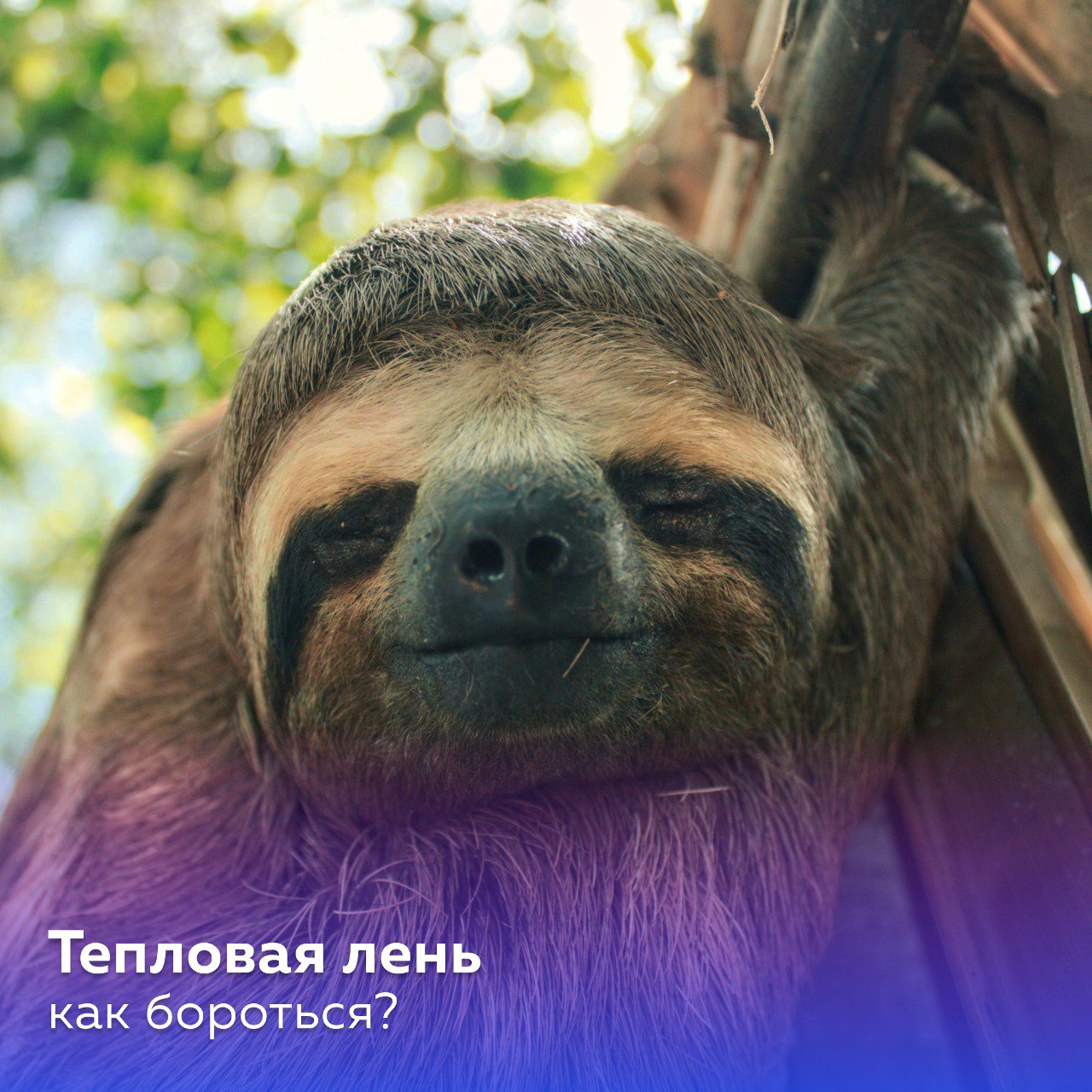 Тепловая лень – настоящий феномен, который делает работу в жару невыносимой
В жаркие дни многие сталкиваются с этим состоянием, когда кажется, что даже небольшие действия требуют излишнего усилия из-з... | Сетка — социальная сеть от hh.ru