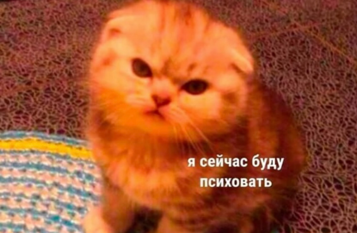 Так выглядит день, когда отменили event-проект, к которому я готовилась 1,5 месяца. И еще клиент просит сделать на фотографии посветлее черный фон, на который я намеренно не направляла никакой свет. | Сетка — социальная сеть от hh.ru