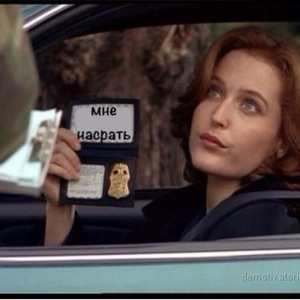 Смех и слезы интеллектуалки