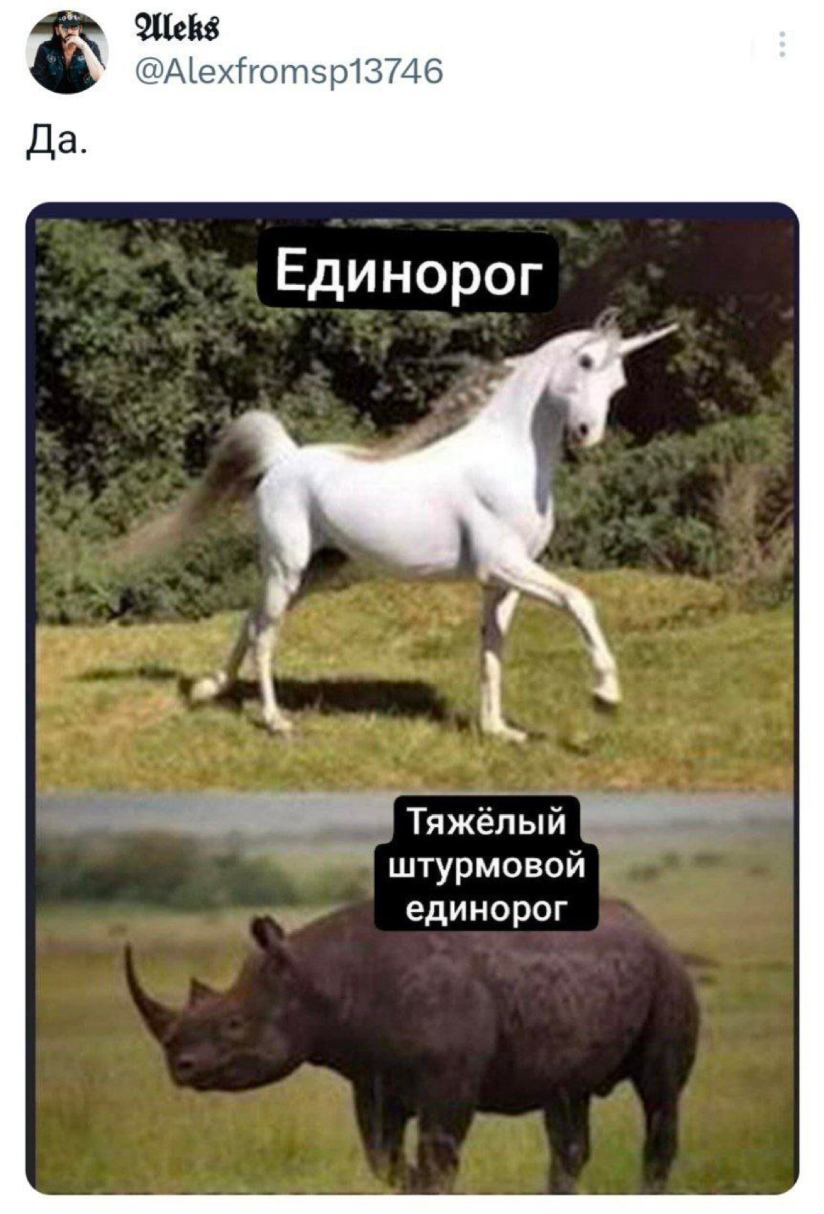 Что это такое? | Сетка — социальная сеть от hh.ru