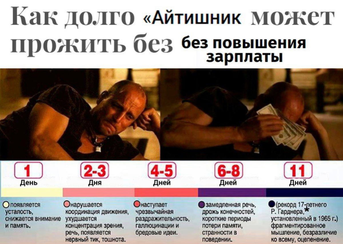 Сетка — социальная сеть от hh.ru