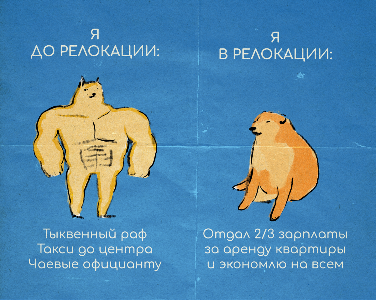 В релокации нужно быть готовым ко всему — например, посмеяться над собой, встряхнуться и идти дальше. Несите в комментарии ваши мемы про переезд. | Сетка — социальная сеть от hh.ru