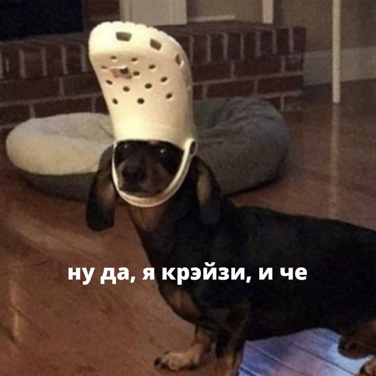 Когда увидела у кого-то в сетке фразу «HRы ставят опыты», сразу вспомнила этот мем | Сетка — социальная сеть от hh.ru