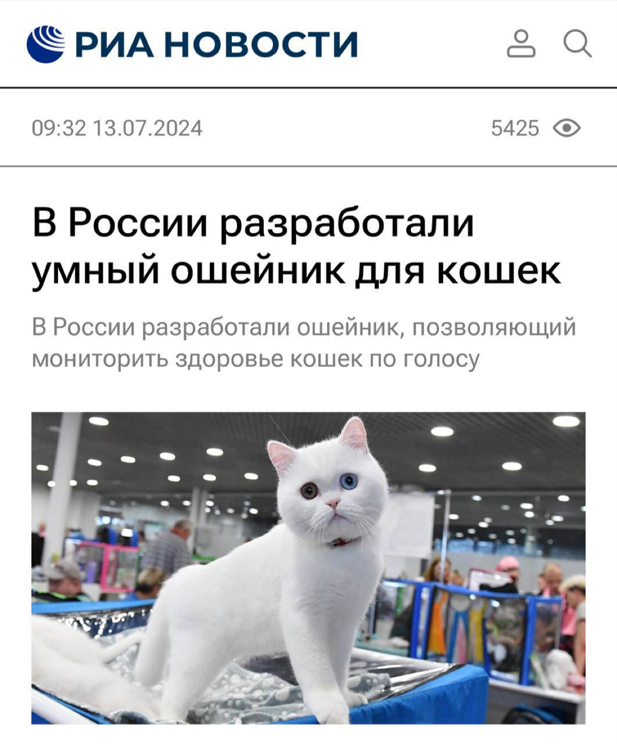 ⚡️Российский стартап из Новосибирской области представил умный ошейник для кошек, способный отслеживать их здоровье по издаваемым звукам | Сетка — социальная сеть от hh.ru