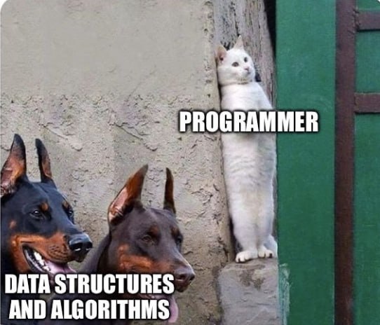 #mem #memes #humor #programmer #мем #юмор | Сетка — социальная сеть от hh.ru