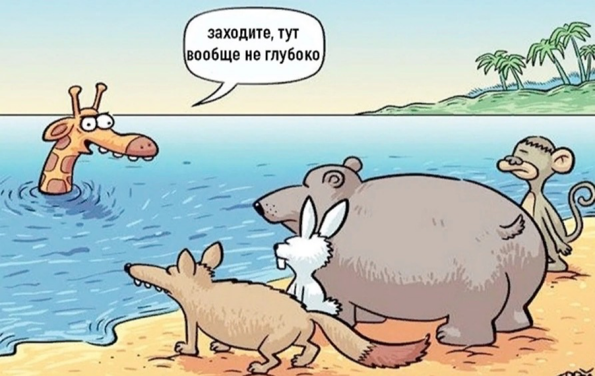 comment image