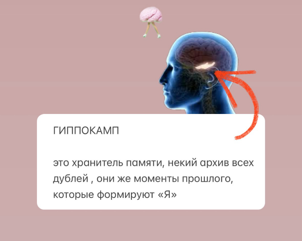 МОЗГ - РЕЖИССЕР ТВОЕГО «Я»
Сегодня постараюсь объяснить вам о работе мозга простыми словами на примере фильма.
Представим, что мозг это режиссер  и ваше «Я» - его главный фильм | Сетка — социальная сеть от hh.ru