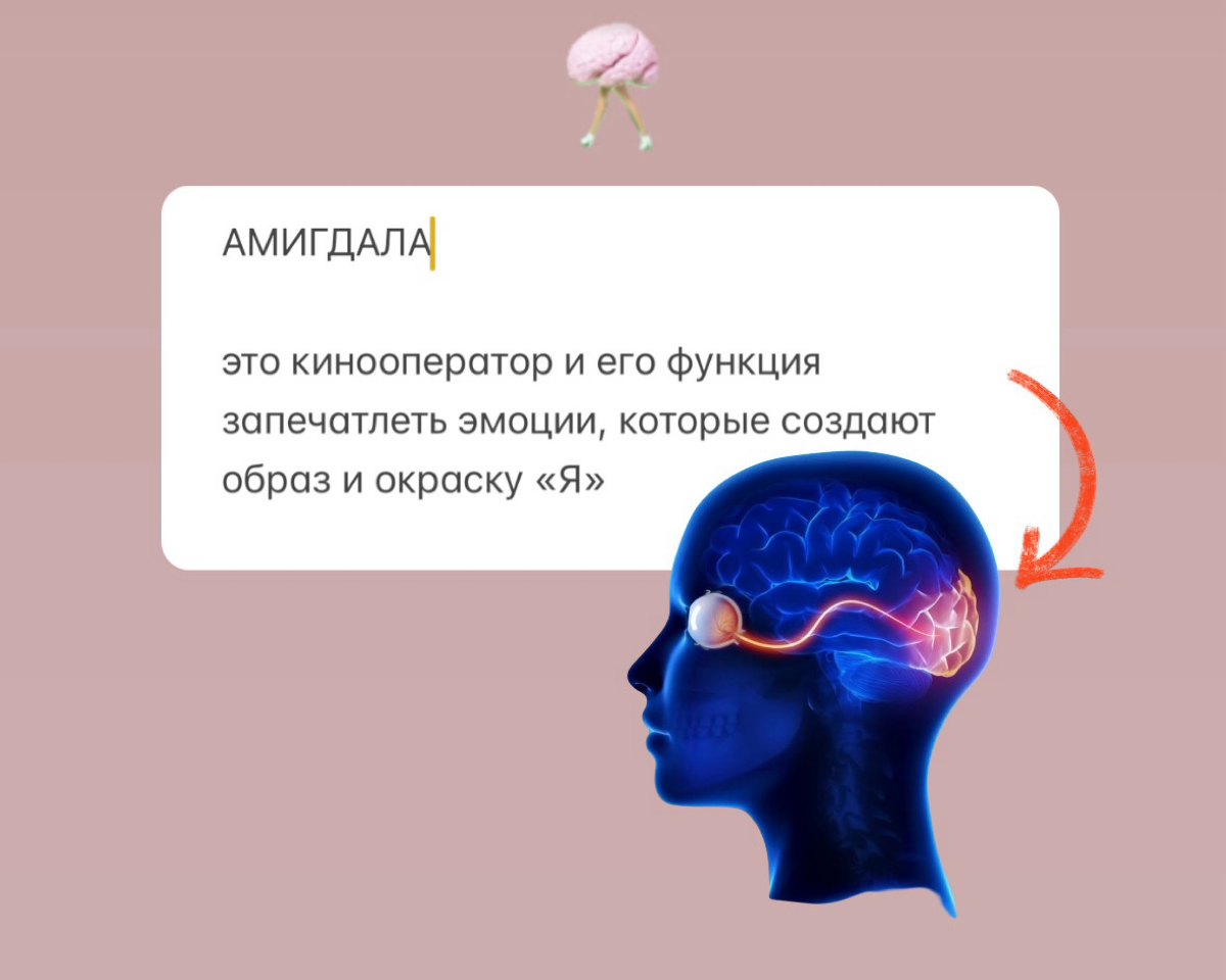 МОЗГ - РЕЖИССЕР ТВОЕГО «Я»
Сегодня постараюсь объяснить вам о работе мозга простыми словами на примере фильма.
Представим, что мозг это режиссер  и ваше «Я» - его главный фильм | Сетка — социальная сеть от hh.ru