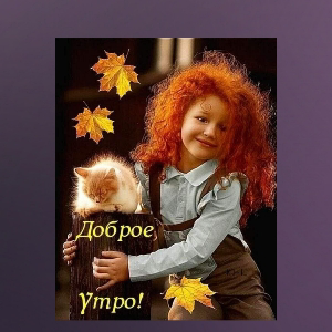 Елена Колбасова | Сетка — социальная сеть от hh.ru