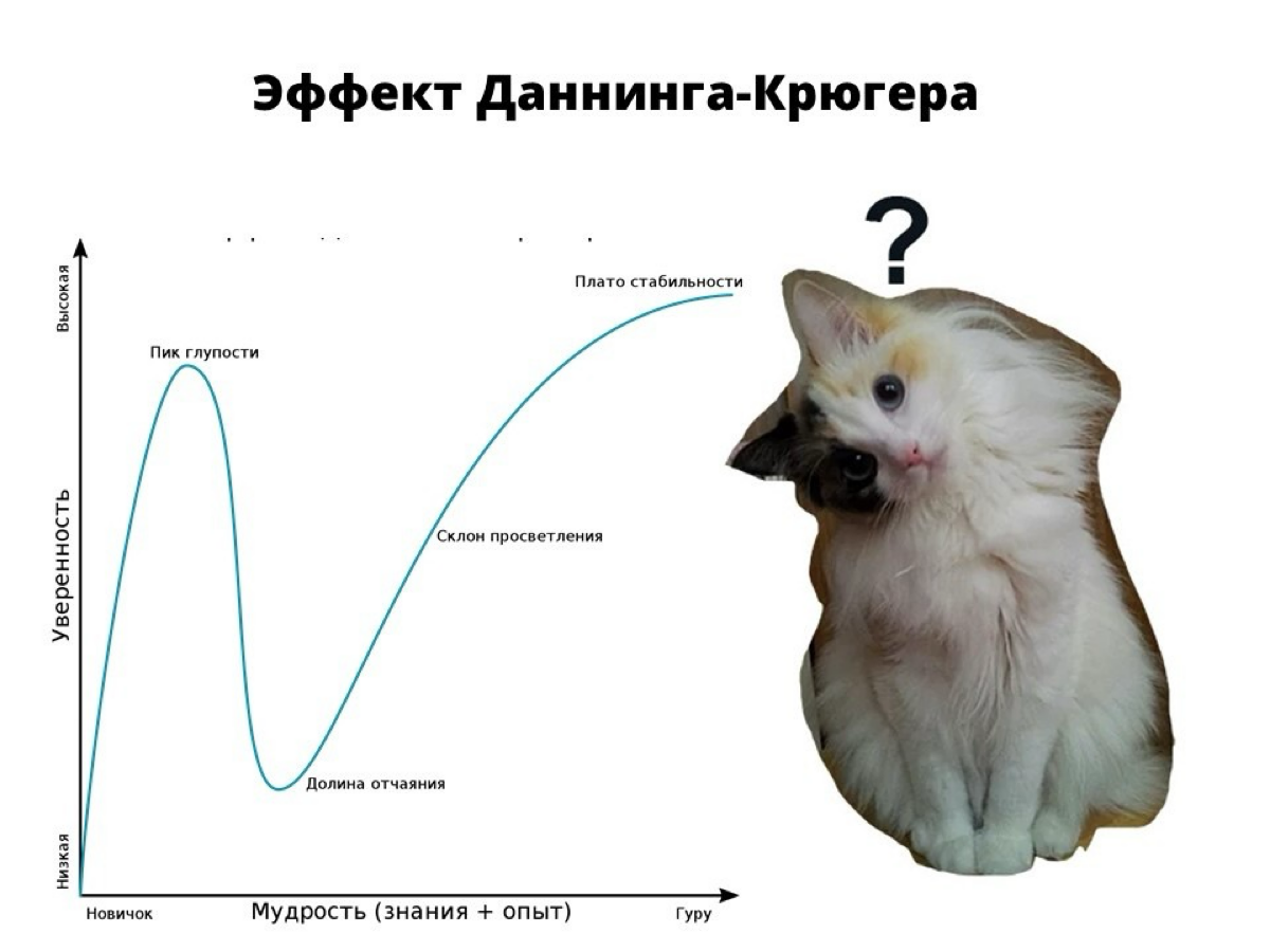 # Чем больше мы знаем - тем больше в себе сомневаемся 🤷‍♀️
Если взглянуть на график с эффектом Даннинга-Крюгера, в самом начале карьеры после прохождения пика абсолютнейшей увереннности (= пика нашей ... | Сетка — социальная сеть от hh.ru