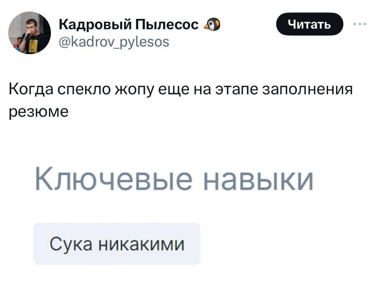 Когда выгоревший сотрудник, который ушел с прошлой работы не восстановил состояние, а теперь пытается найти новую происходит примерно это. | Сетка — социальная сеть от hh.ru