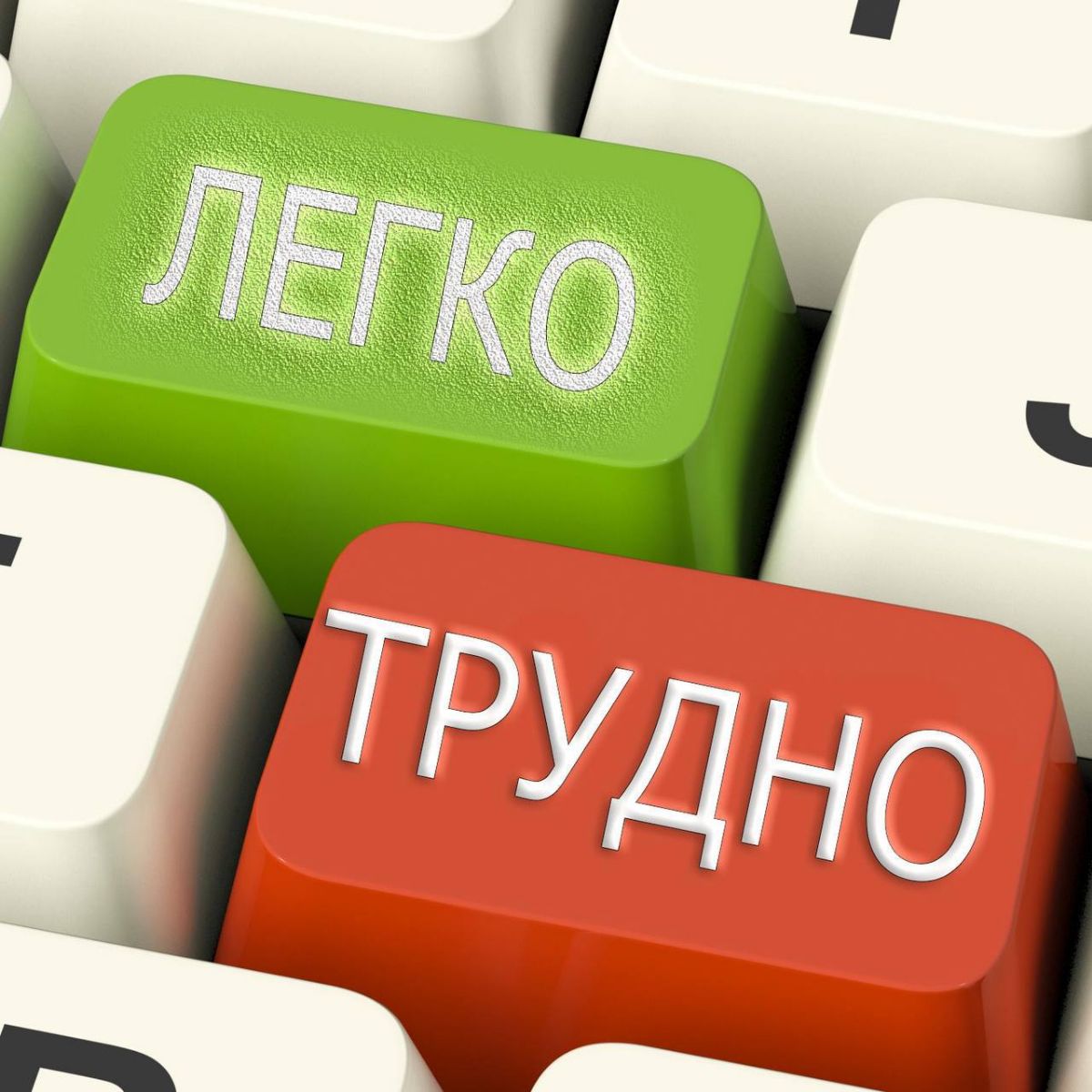 Сейчас вы меня наверное шапками забросаете, но все равно скажу: в мире больше дураков, чем умных | Сетка — социальная сеть от hh.ru
