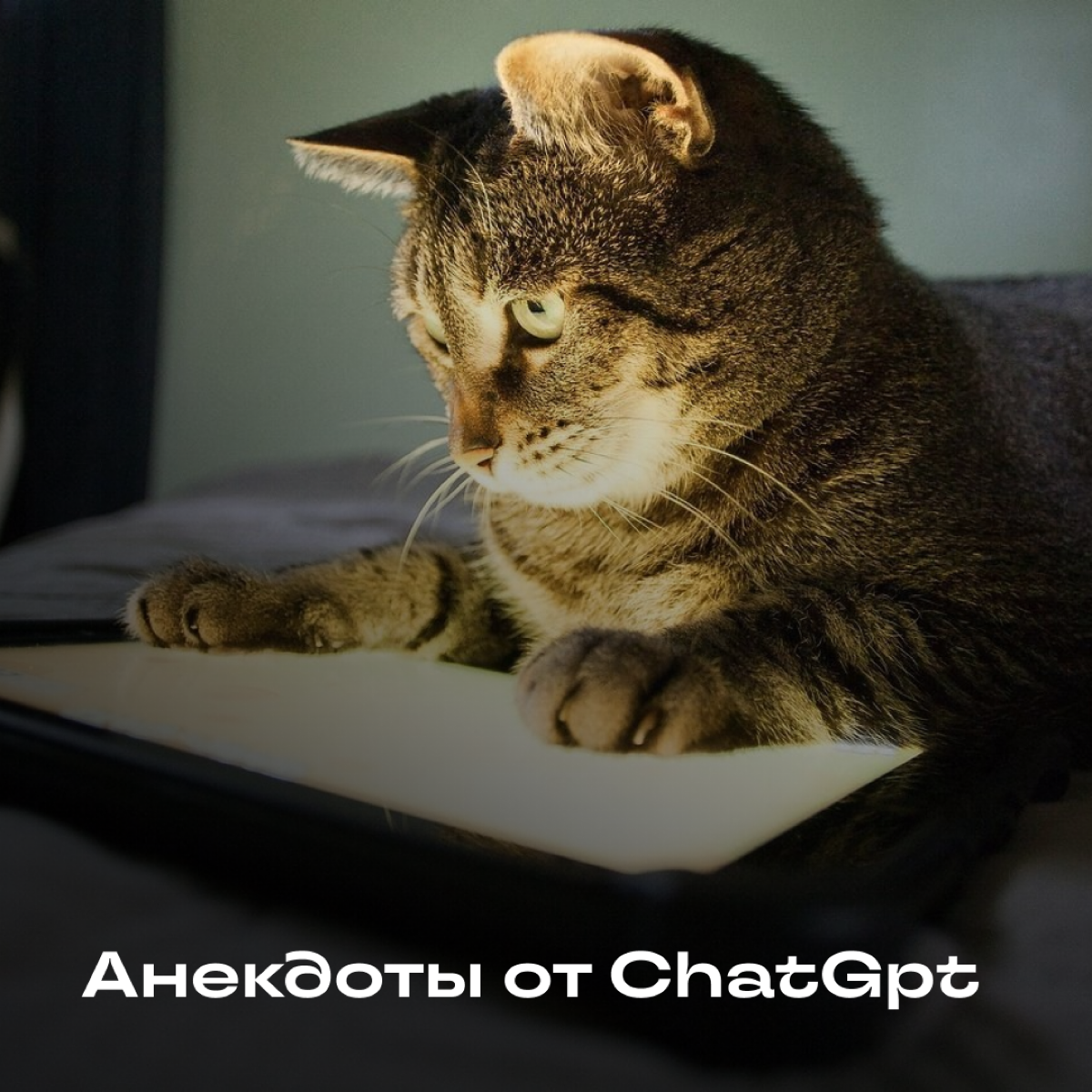 🤖 Попросила ChatGpt рассказать анекдоты про будни UX/UI дизайнеров:
1 | Сетка — социальная сеть от hh.ru