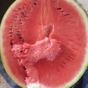 Сайдо Давлатов