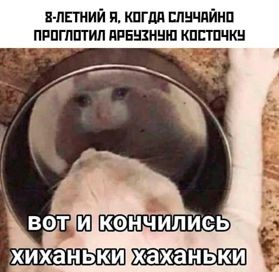 У нас хиханьки и хаханьки не заканчиваются | Сетка — социальная сеть от hh.ru