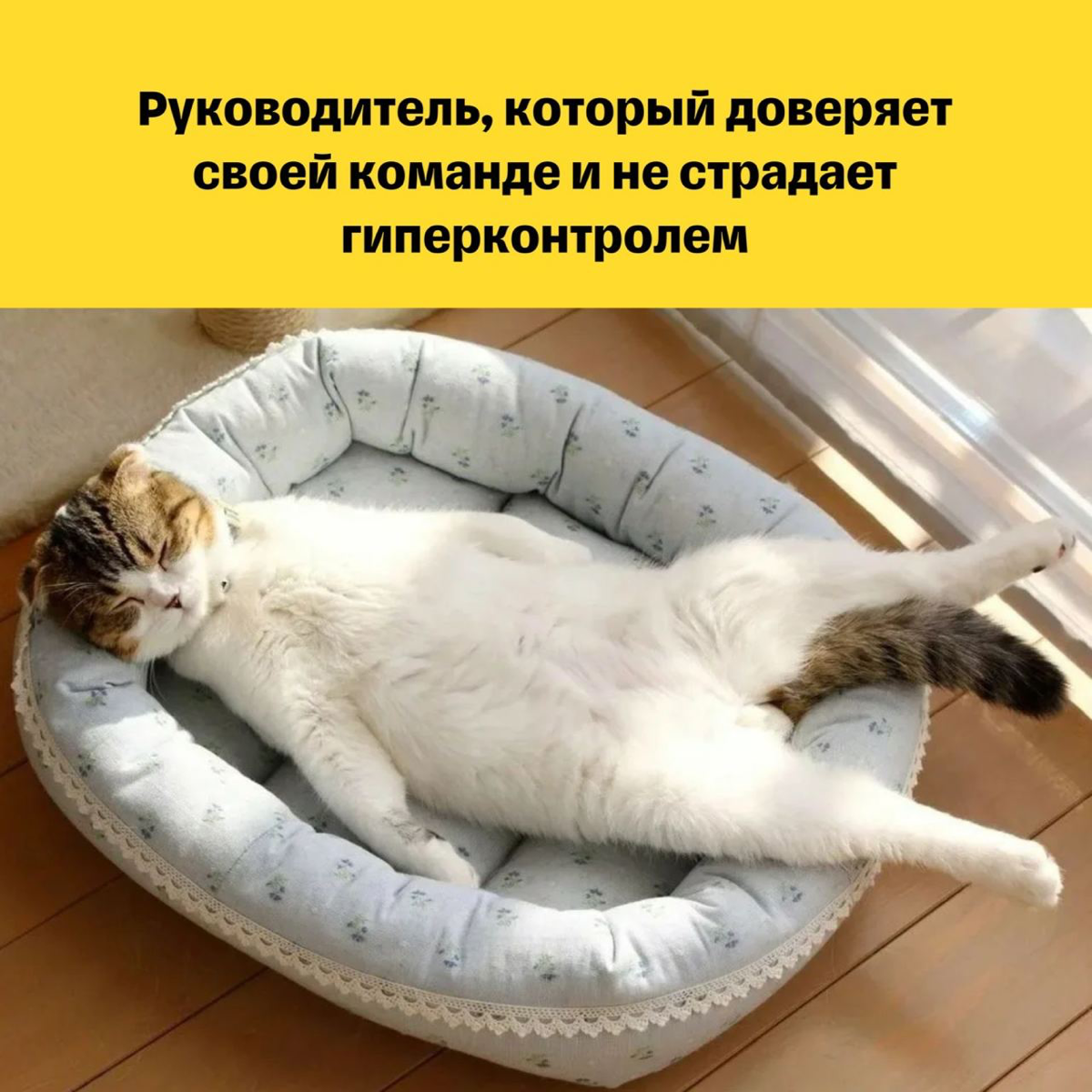Недавно я прошел обучение по программе Management 3.0, где мы подробно обсуждали, как создавать самоорганизованные команды | Сетка — социальная сеть от hh.ru