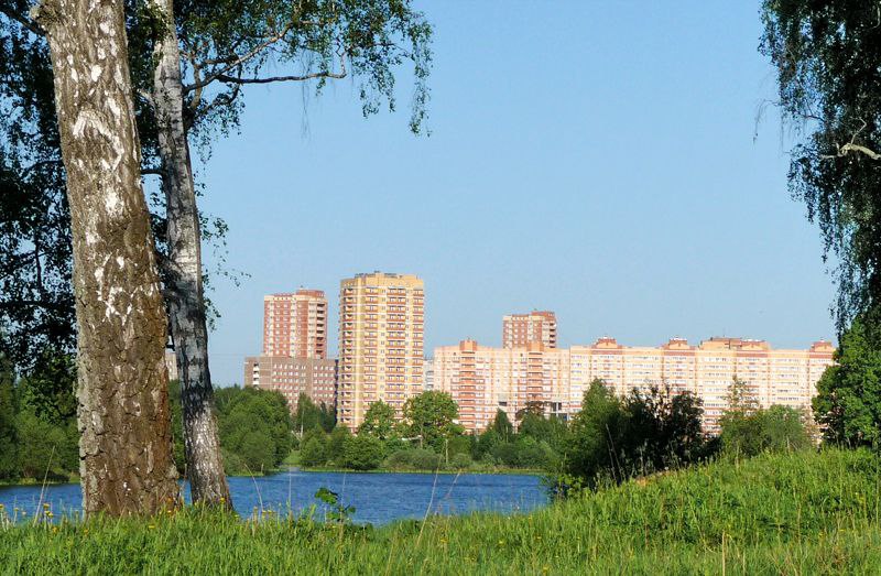 Власти Подмосковья выставили на торги право на застройку почти 48 гектаров земли на территории города Фрязино, сообщается на портале "ГИС торги" | Сетка — социальная сеть от hh.ru