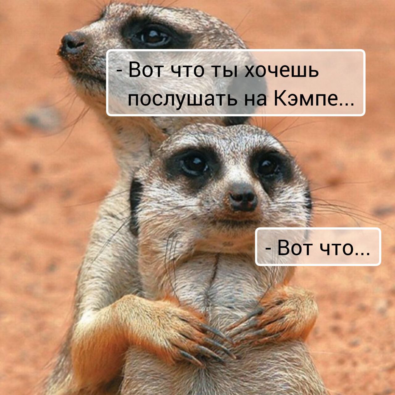 Разослали на голосование темы докладов для конференции ProductCamp | Сетка — социальная сеть от hh.ru