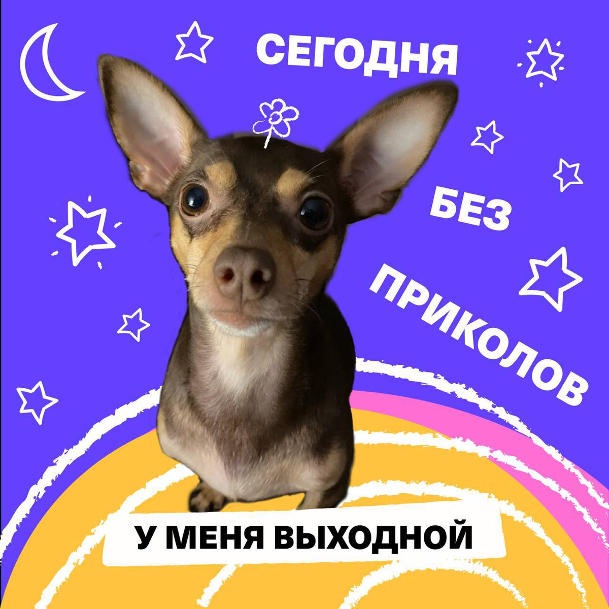 Зацените отпускные (и не только) аватарки от моих друзей из HR команды Timepad | Сетка — социальная сеть от hh.ru