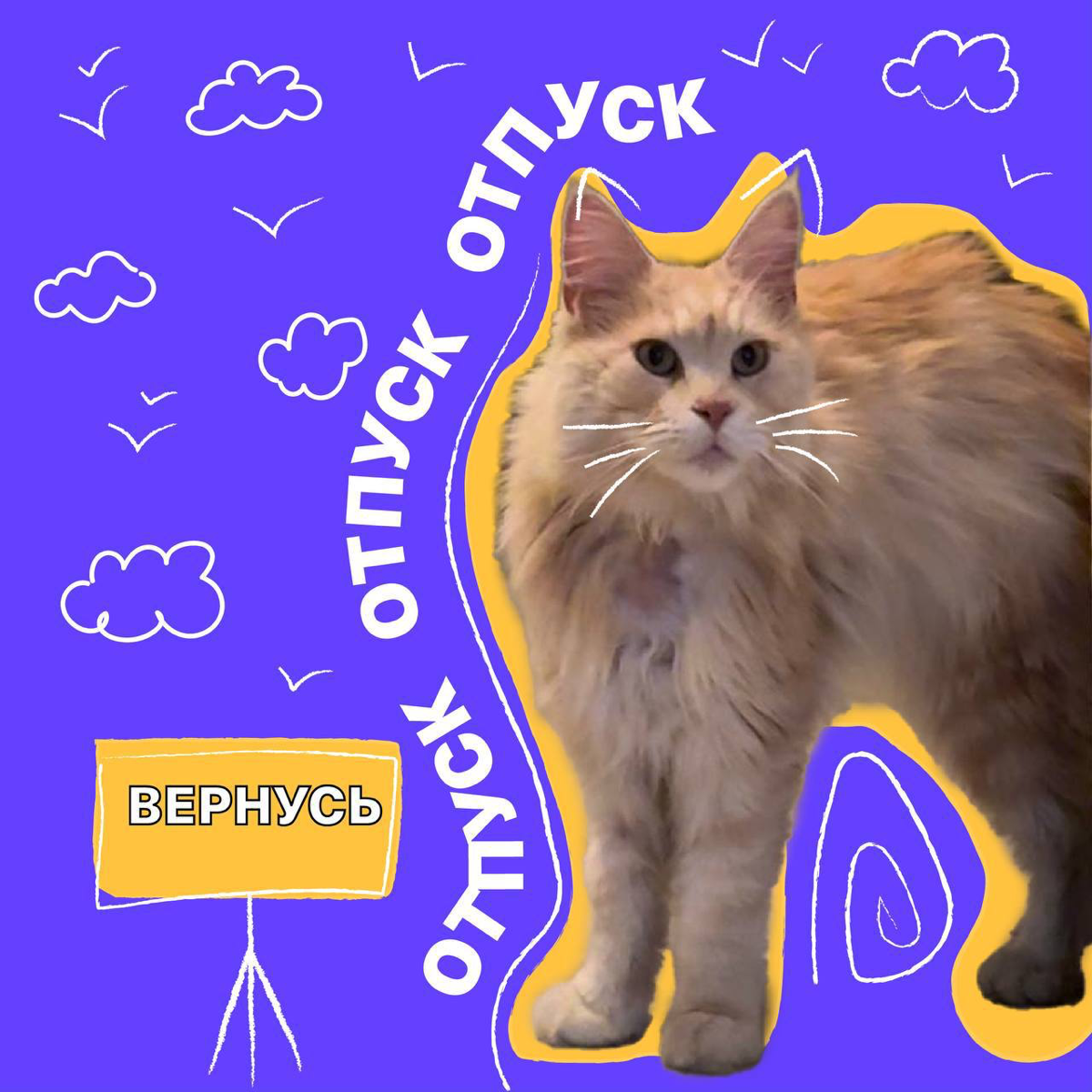 Зацените отпускные (и не только) аватарки от моих друзей из HR команды Timepad | Сетка — социальная сеть от hh.ru