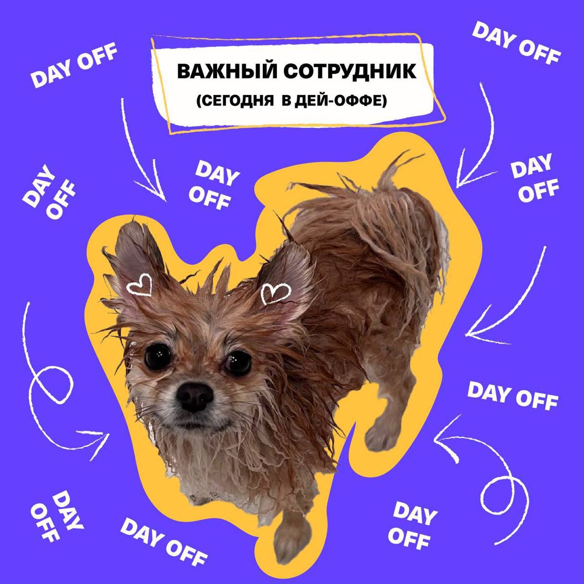 Зацените отпускные (и не только) аватарки от моих друзей из HR команды Timepad | Сетка — социальная сеть от hh.ru